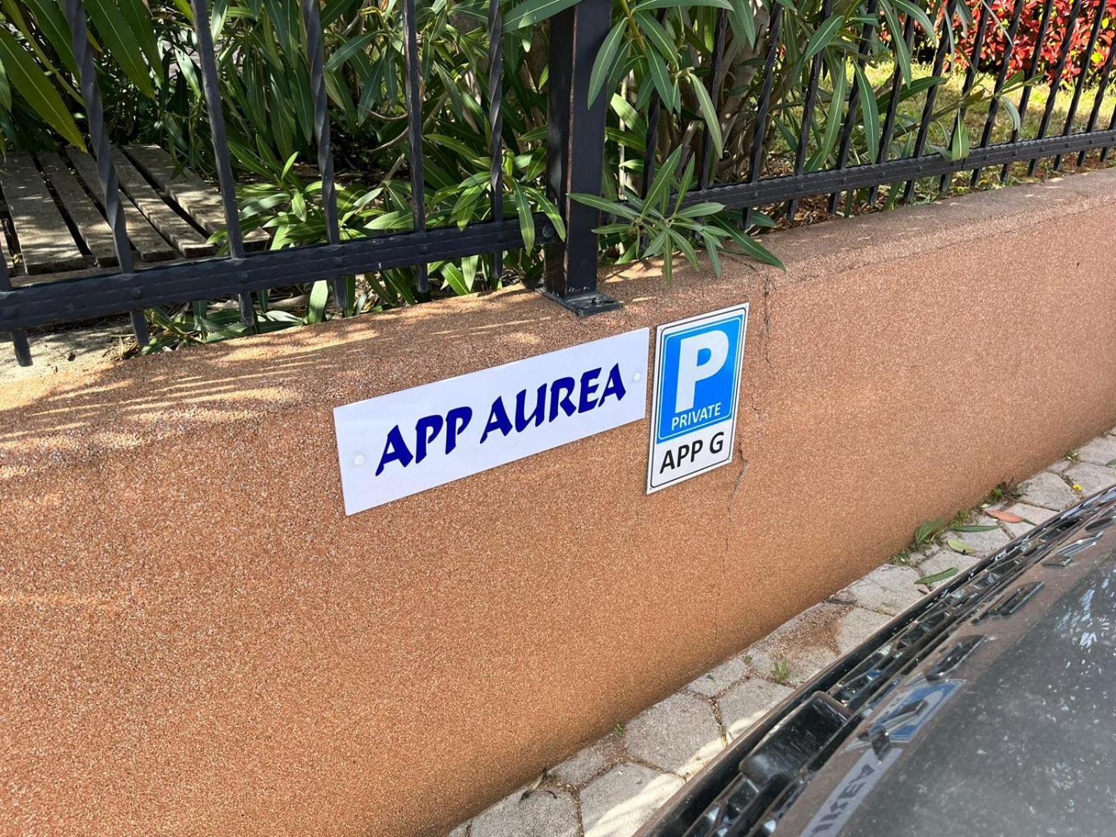 Aurea Novigrad Apartment Novigrad  Bagian luar foto
